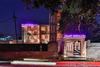 The Pink Zebra – Kanpur, India