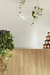 Royal Nut Company – Brunswick, Melbourne