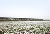 Oosterwold Co-living Complex– Almere, Netherlands