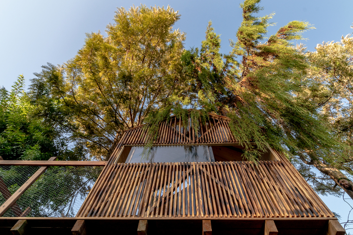 TreeHouse for Grandchildren – Cascais, Portugal
