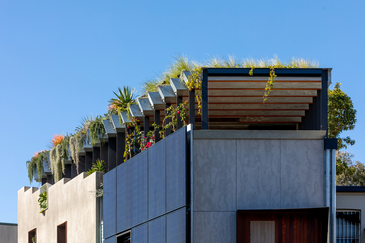 Welcome To The Jungle House – Darlington, Sydney