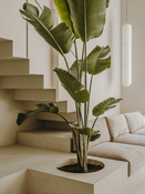 Six N. Five Studio Renovation – Barcelona, Spain