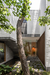 R.A House – Jalisco, México