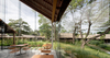 Patom Cafe – Nakhon Pathom, Thailand