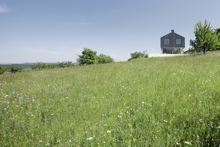 Preview of House D – Nuglar, Switzerland