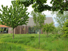 Potato Shed House – Netherlands