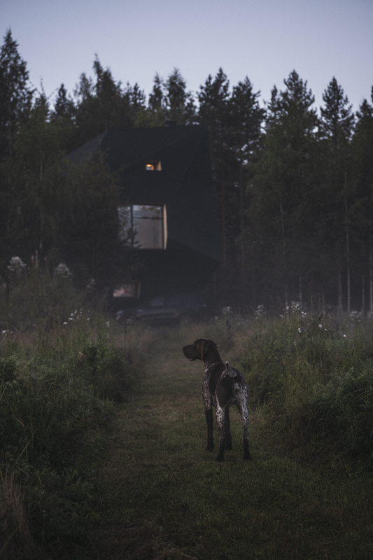 Meteorite Cabin – Kontiolahti, Finland — image 11