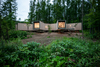 House in the Forest – Hokkaido, Japan