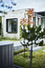 Launceston House – Launceston, Australia