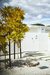 Launceston House – Launceston, Australia