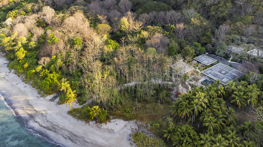 Pasha – Santa Teresa, Costa Rica
