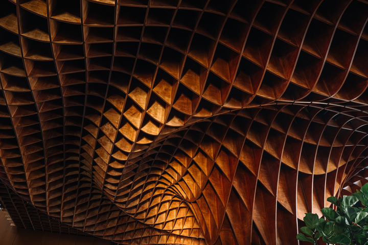Preview of Cara Cara – Hyderabad, India