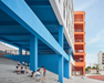 Pony School – Xinyang, China