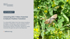 Unlocking $10.1 Trillion Potential in Nature-Positive Transition