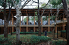 Jingyang Camphor Court – Jiangxi, China
