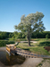 Pole Mokotowskie Park Modernization – Warsaw, Poland