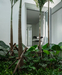 DEW HOUSE – Ubon Ratchathani, Thailand