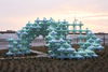 The Possibilities of Pavilion, Three Ecological Pavilions by the Sea – Shanghai, China