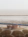 The Possibilities of Pavilion, Three Ecological Pavilions by the Sea – Shanghai, China