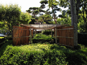 CHOU-NO-HANE – Gland, Switzerland