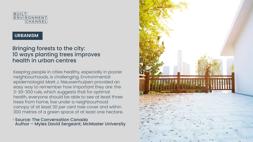 Bringing forests to the city: 10 ways planting trees improves health in urban centres