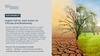 Urgent Call for Joint Action on Climate and Biodiversity