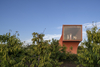 Miniature Series I – Peach Hut – Xiuwu, China