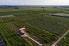 Miniature Series I – Peach Hut – Xiuwu, China