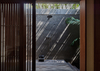The Freebird Project – Berawa, Indonesia