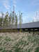 The Spine Resort – Meishan, China