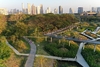 Benjakitti Forest Park – Bangkok,Thailand
