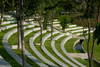 Benjakitti Forest Park – Bangkok,Thailand