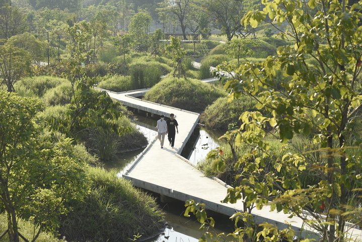 Benjakitti Forest Park – Bangkok,Thailand