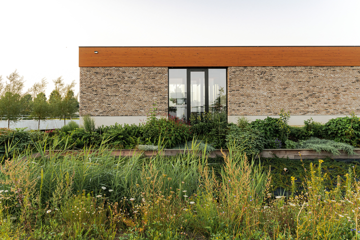 Terphouse – Rotterdam,Netherlands