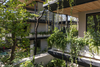 QUIN Surf Residence – Nosara, Costa Rica