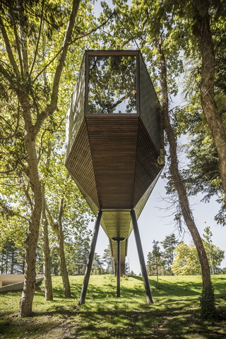 Tree Snake Houses – Pedras Salgadas, Portugal