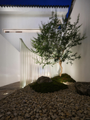 Hua Xu Boutique Hotel – Suzhou City, China