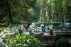 Estate Paathri - Building Around Nature Rather Than On It – Wayanad, India