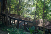 Estate Paathri - Building Around Nature Rather Than On It – Wayanad, India
