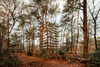 Beaufort – Zeist, The Netherlands