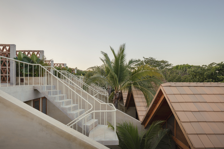 Preview of Palmeras – La Punta, Peru