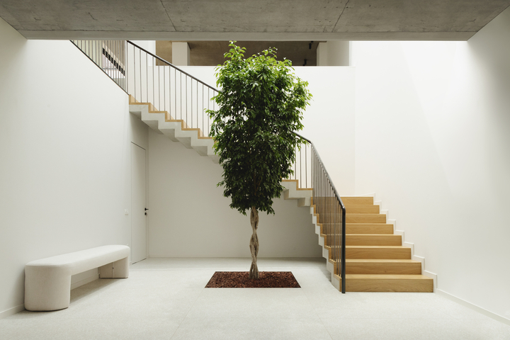 Preview of House Around The Tree – Tbilisi, Georgia