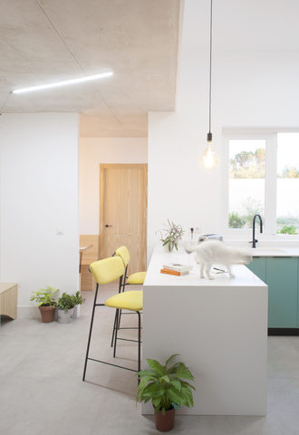 House for a Family of Felines and Canines – Baeza, Spain