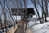 Stage of Forest – Jilin, China