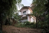 Bamboo Forest House – Tokyo, Japan
