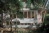 Bamboo Forest House – Tokyo, Japan