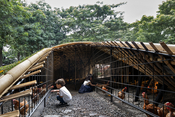 Chicken Hero Pavilion – Bali, Indonesia
