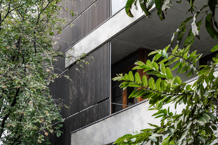 Houses by a Park – Bangalore, india
