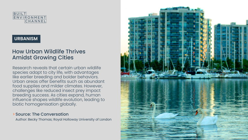 How Urban Wildlife Thrives Amidst Growing Cities