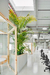 GPA Offices – Barcelona,Spain